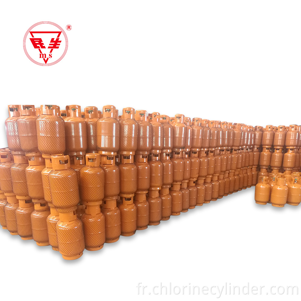 Exporter vers l'Egypte Bouteilles de gaz composite GPL 12,5 kg